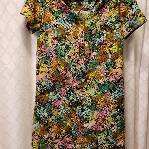 Super Cute JCrew Shift Dress